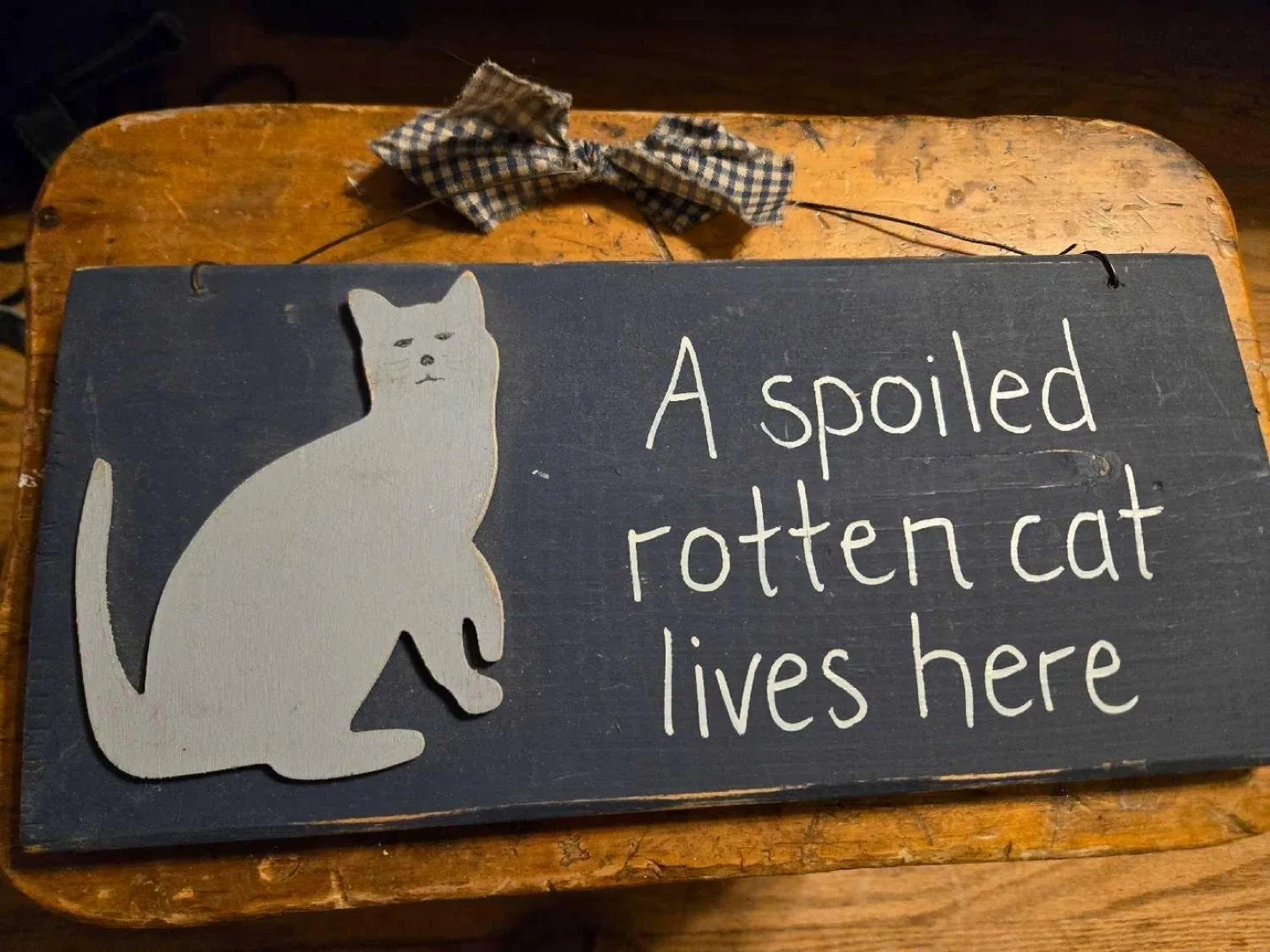 "A Spoiled Rotten Cat Lives Here" Sign