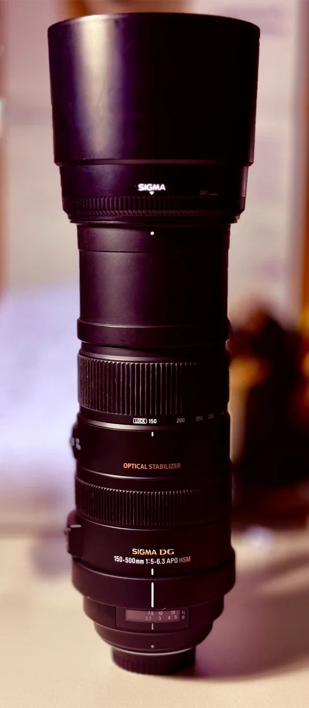 Sigma 150-500mm APO HSM Lens with B+W filter