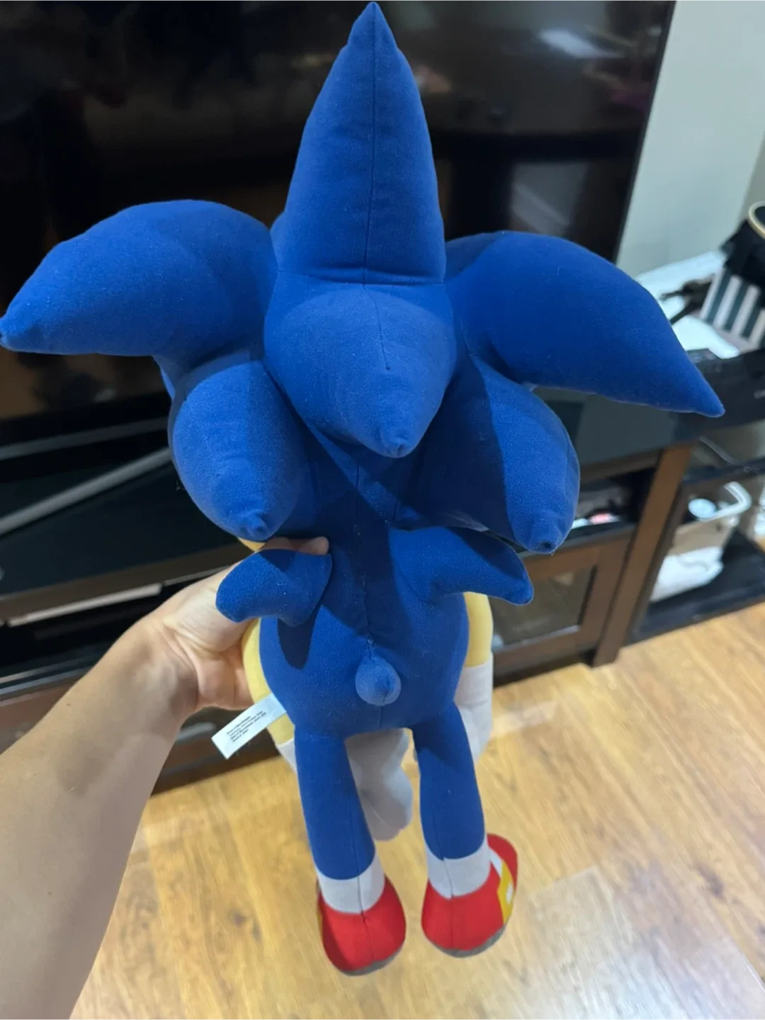Sonic the Hedgehog Plush Toy image indicator(2)