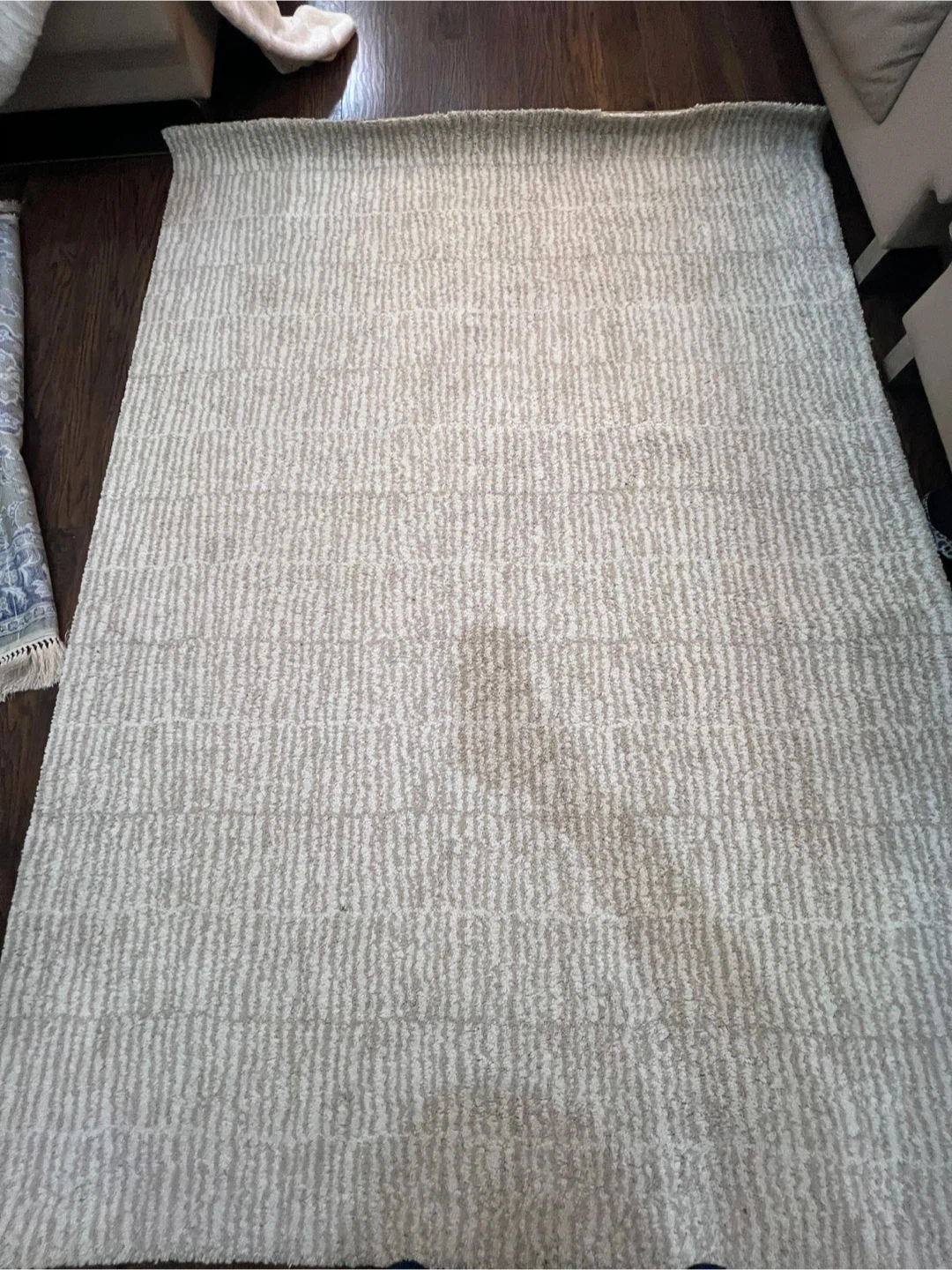 Neutral Striped Area Rug - photo 2