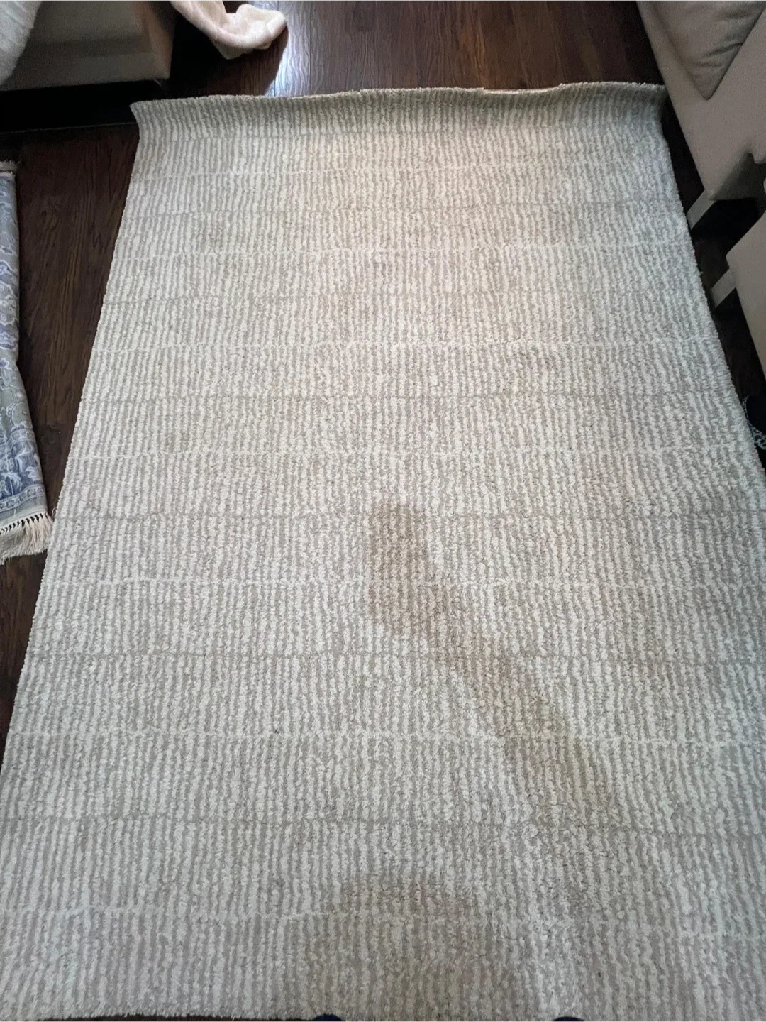 Neutral Striped Area Rug image indicator(2)