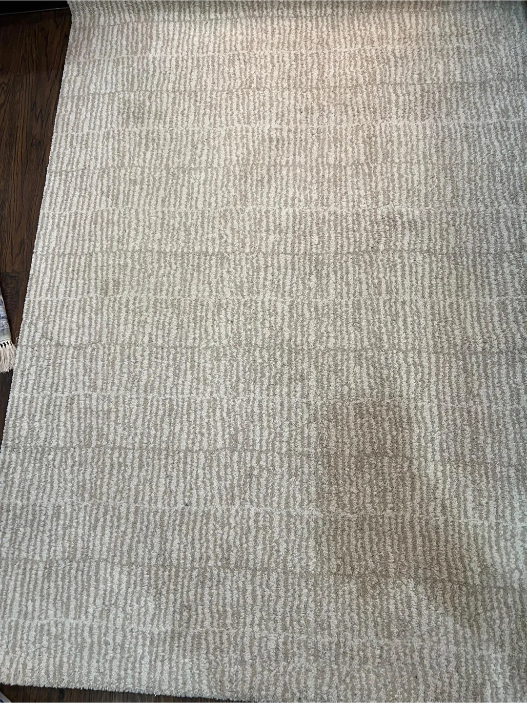 Neutral Striped Area Rug
