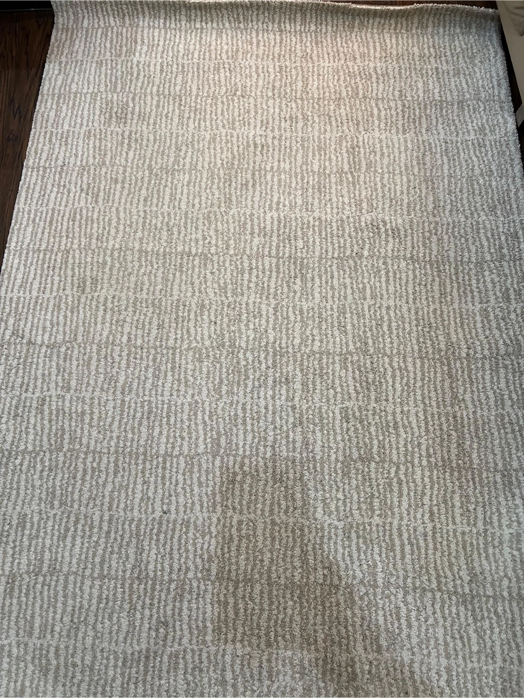 Neutral Striped Area Rug - photo 3