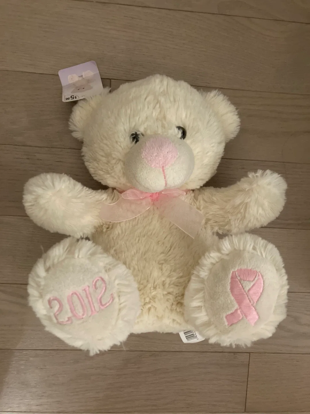 2012 cancer fundraising Teddy Bear