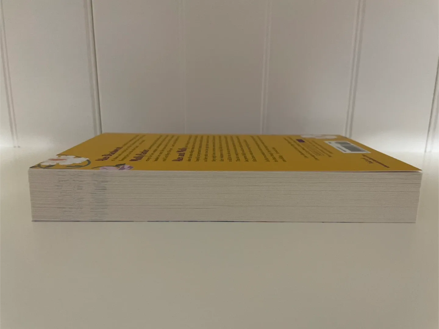 She Gets the Girl New Book image indicator(3)