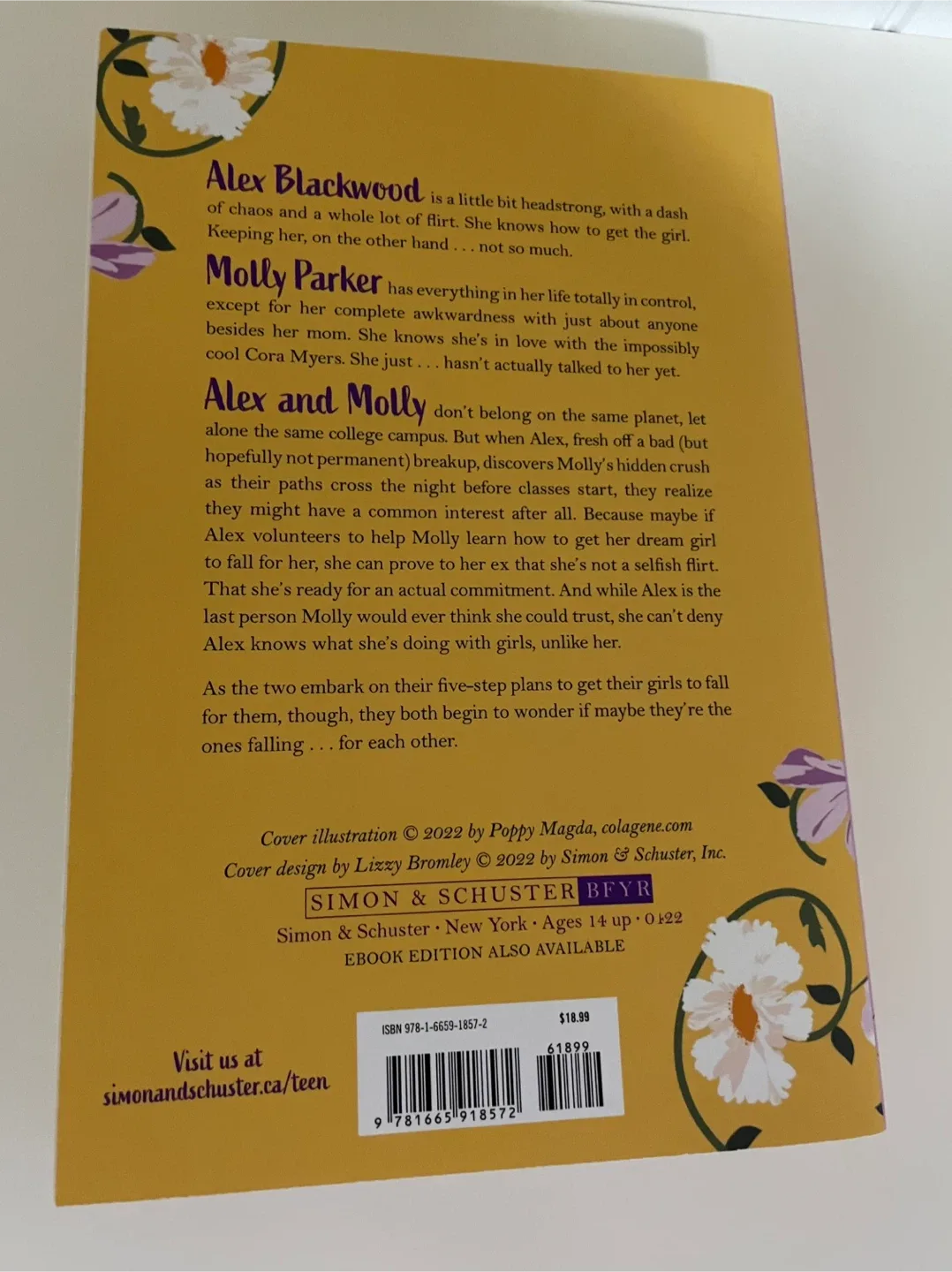 She Gets the Girl New Book image indicator(2)