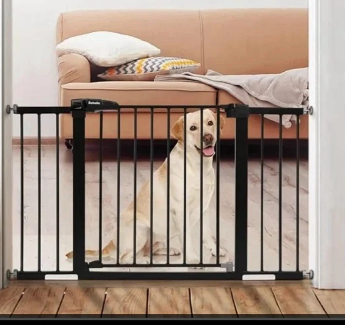 Extra-Tall Auto-Close Security Gate