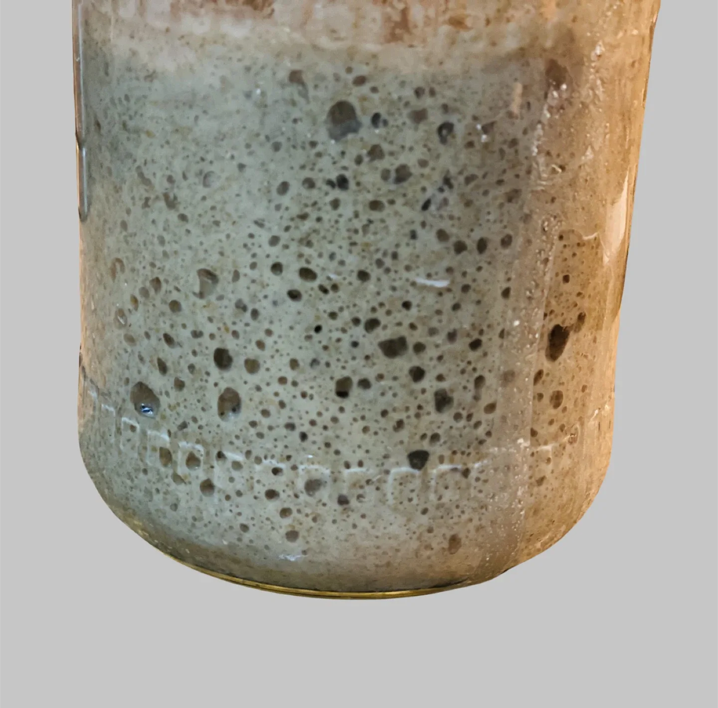 Dark rye Sourdough Starter, 100 grams