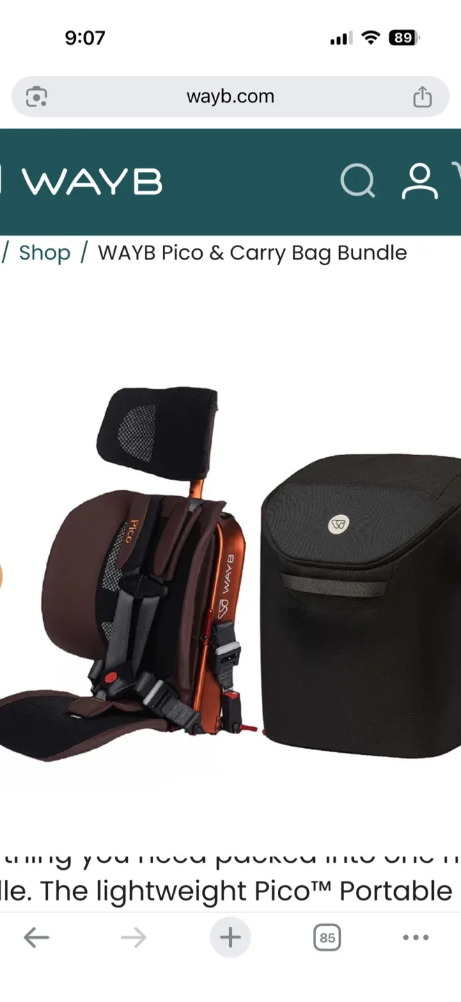 WAYB Pico Portable Car Seat + Carry Bag Bundle