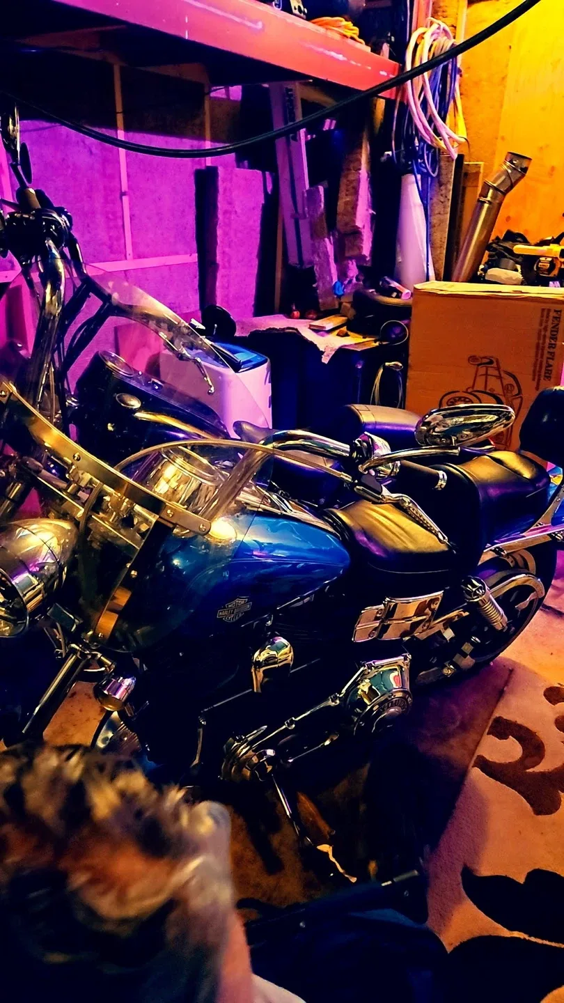 Harley-Davidson Motorcycle