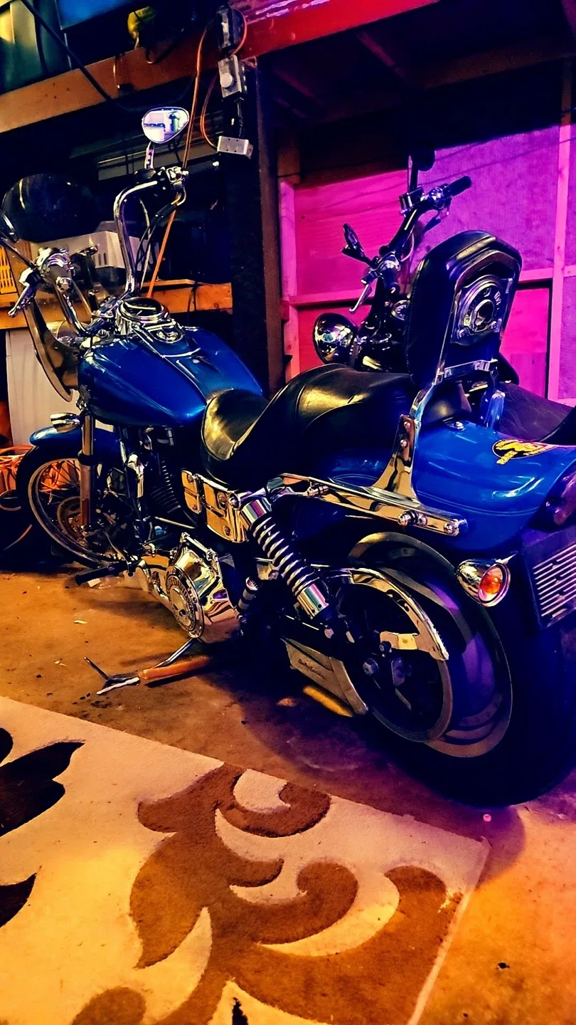 Harley-Davidson Motorcycle image indicator(4)