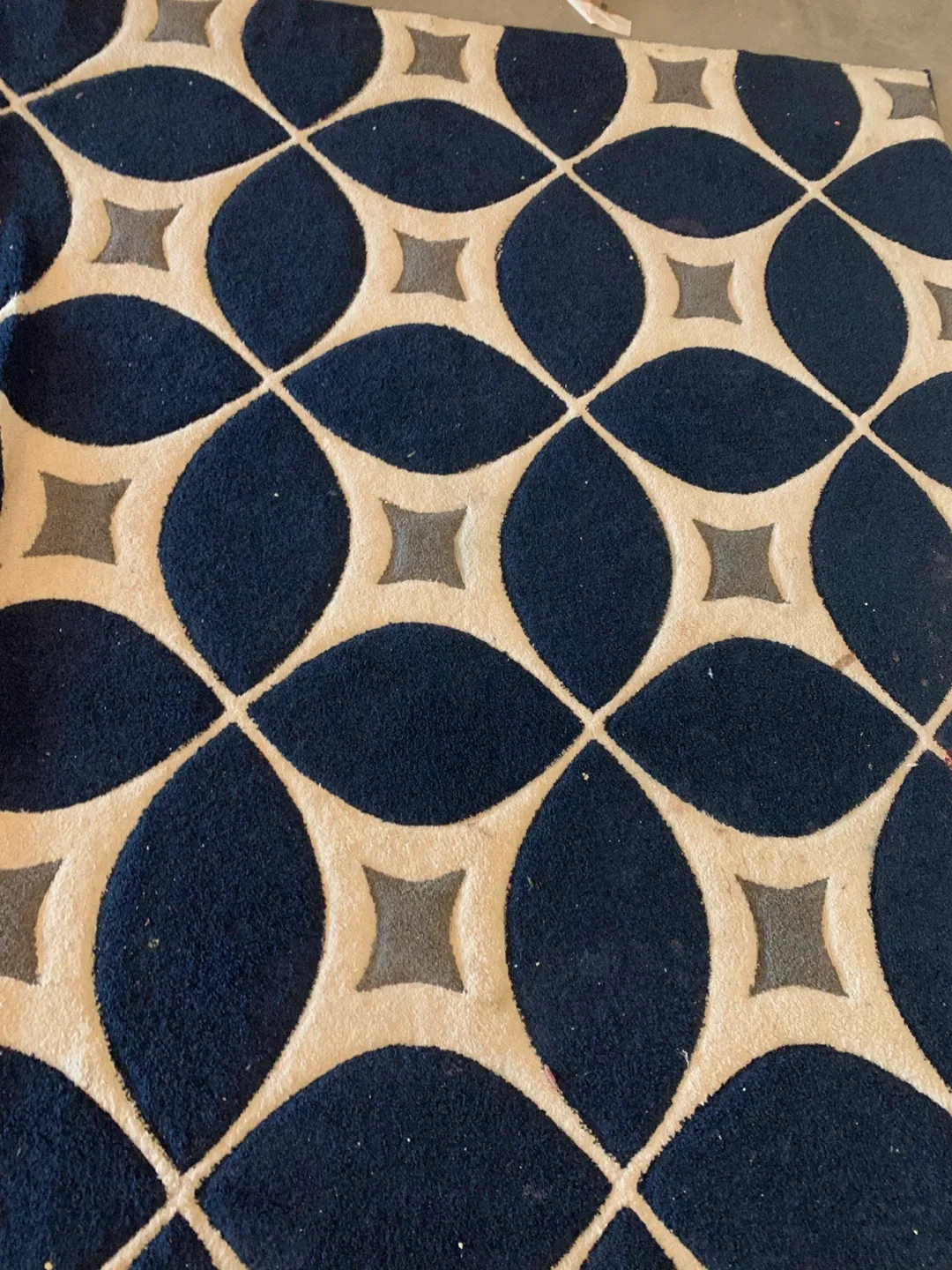 Patterned Area Rug - Blue & Beige image indicator(2)