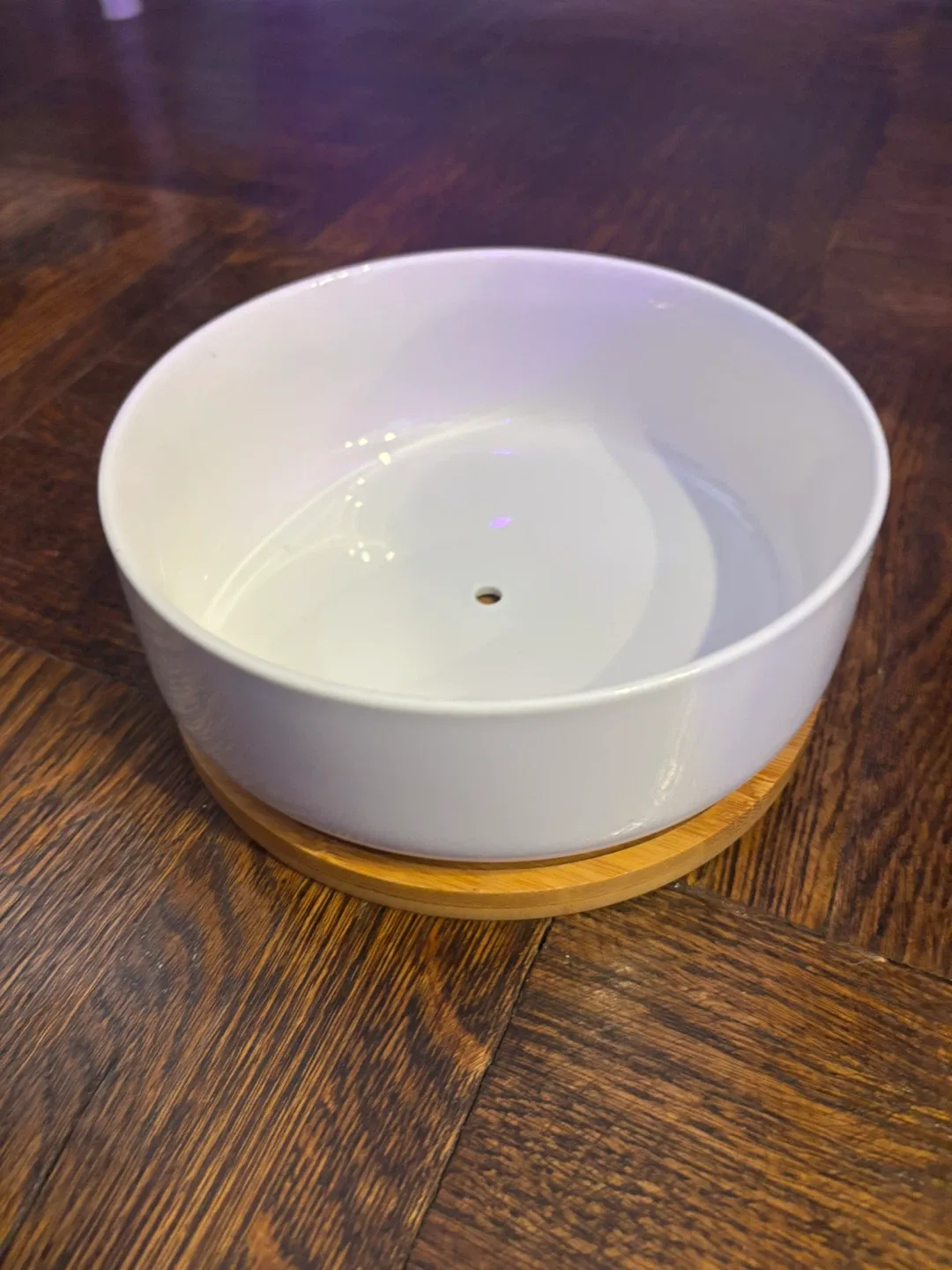 White Ceramic Plant Pot with Bamboo Tray