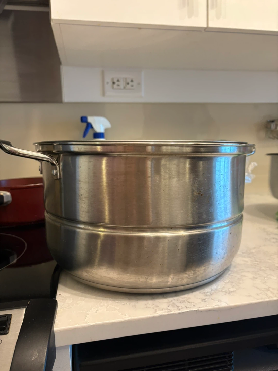 Stainless Steel Steamer Pot