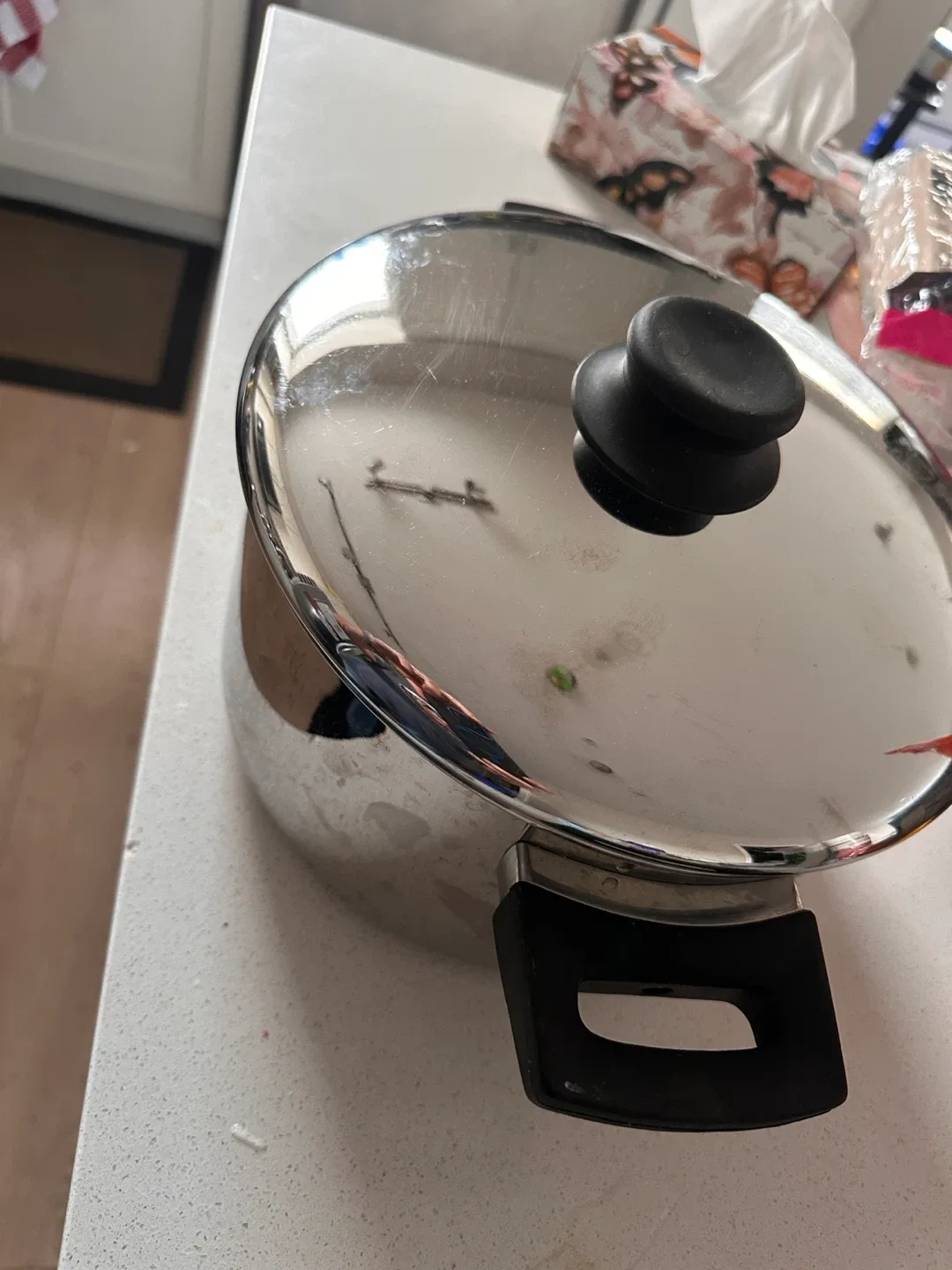 Lagostina Stainless Steel Pot with Lid