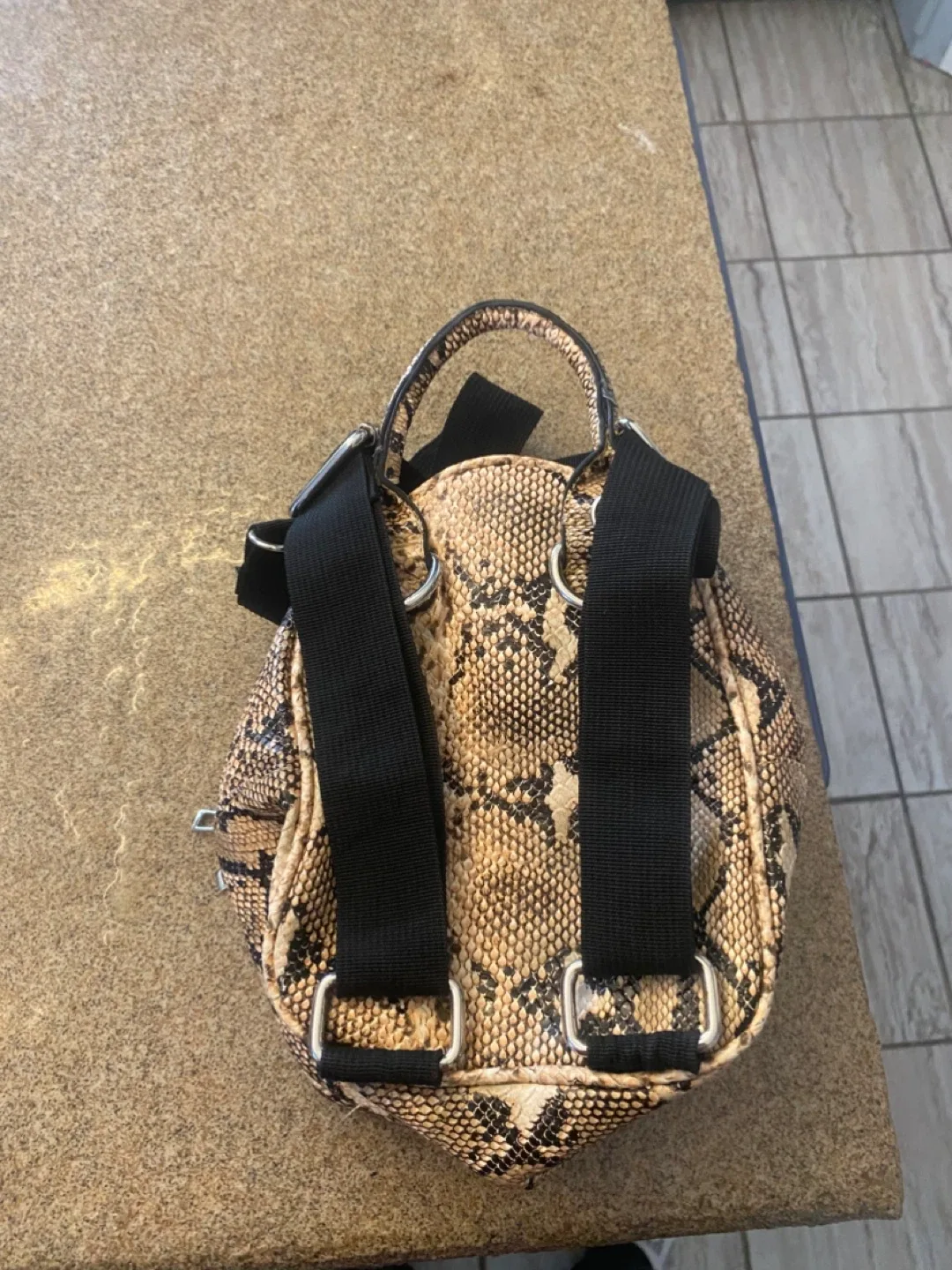 L.A. Express Snakeskin Mini Backpack image indicator(5)
