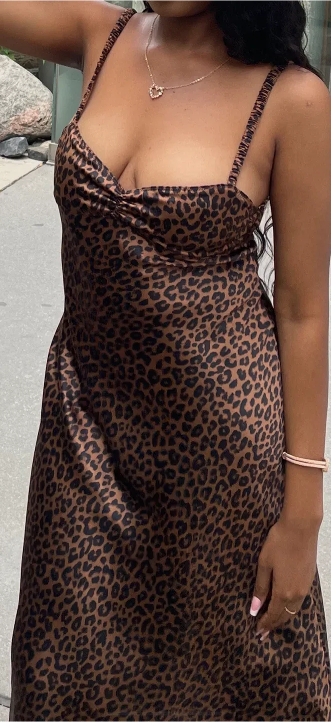 Zara Leopard Print Dress