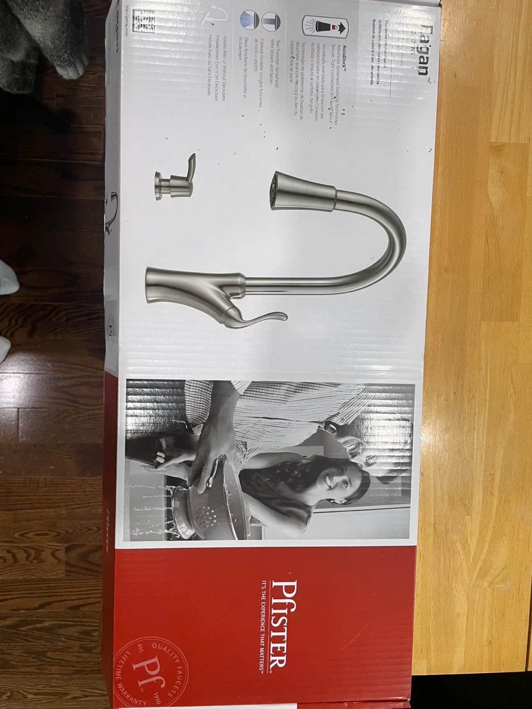 Pfister Fagan Pull Down Kitchen Faucet