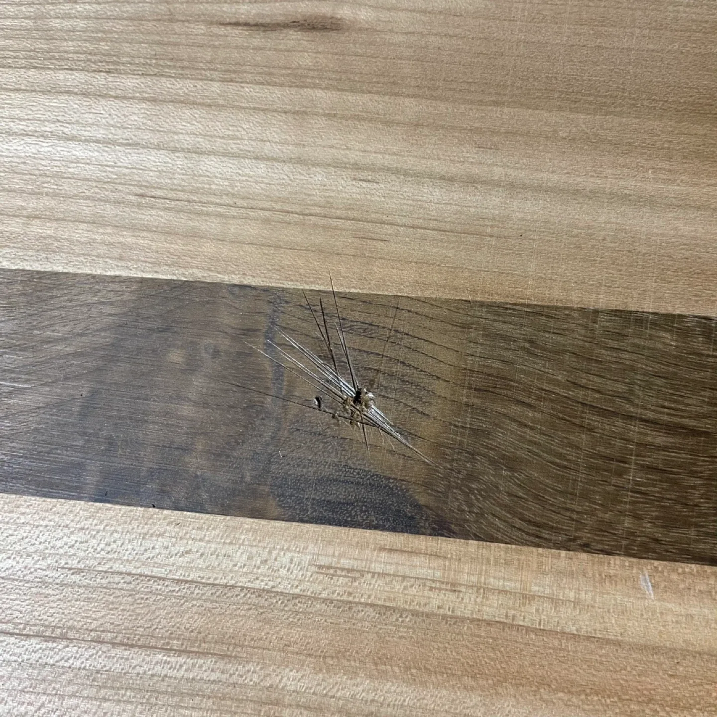 Cutting Board Repair