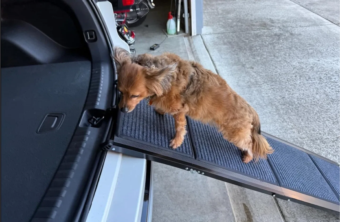 GaliGali Dog Ramp for Car image indicator(7)