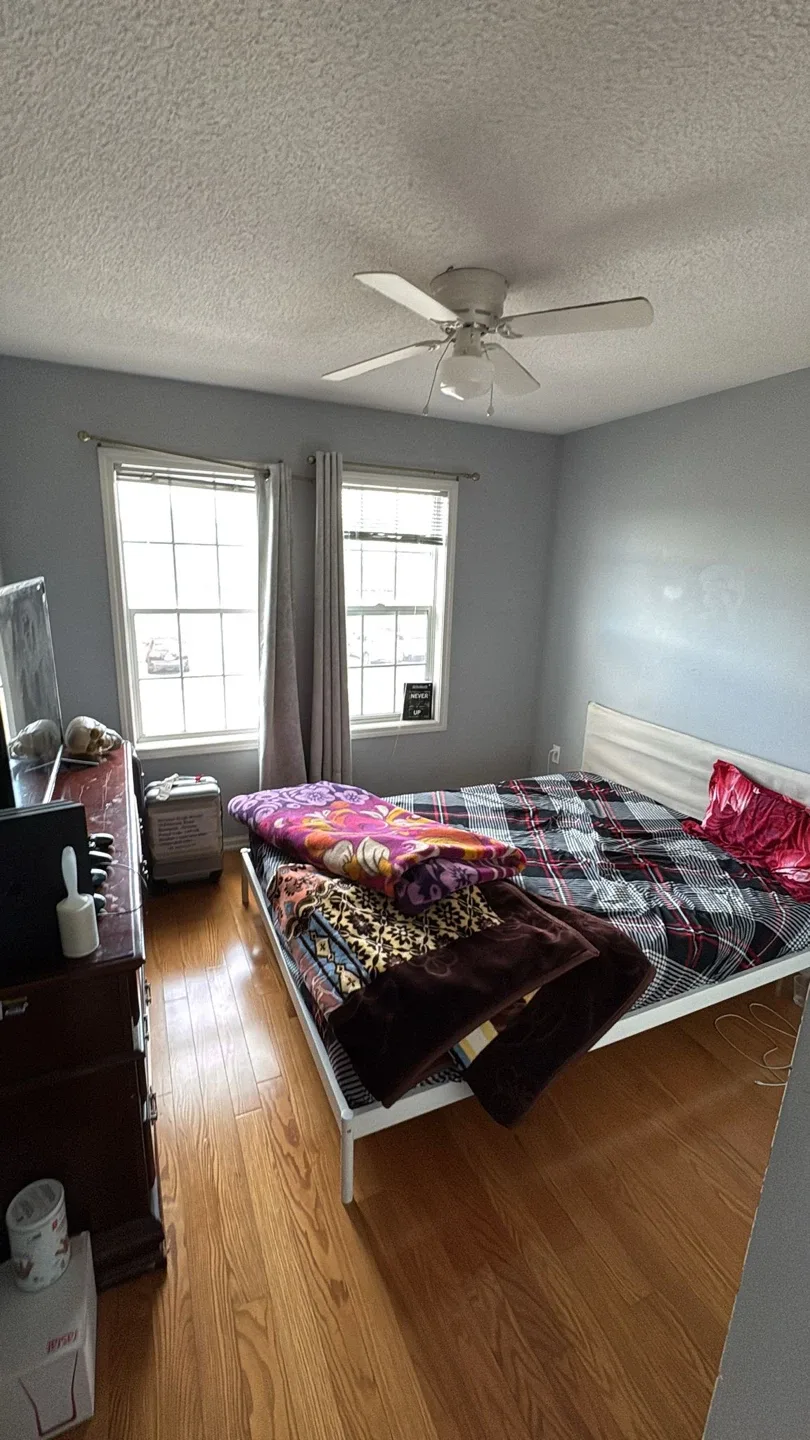 3 Bedroom House for Renting image indicator(9)