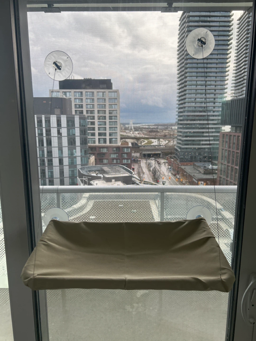 Cat hammock for the window
