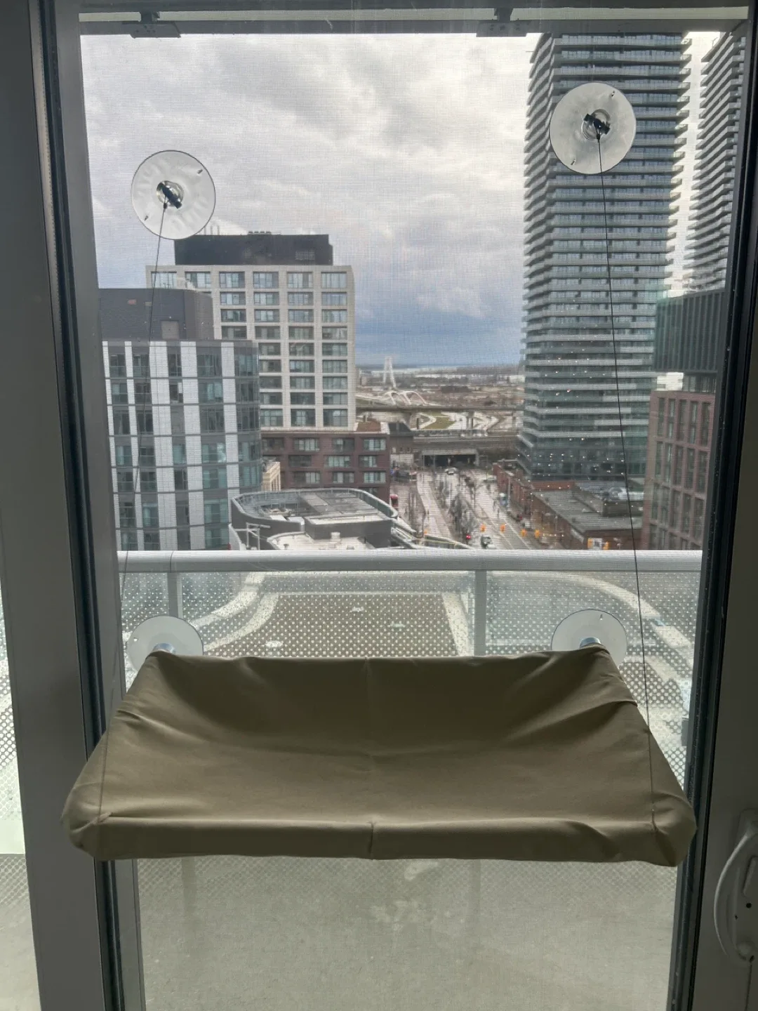 Cat hammock for the window