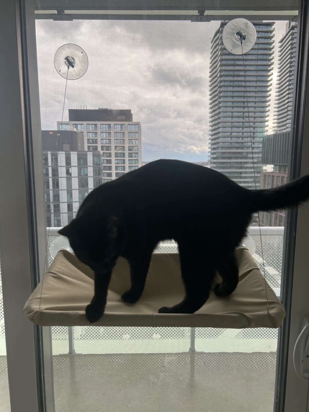 Cat hammock for the window - photo 2