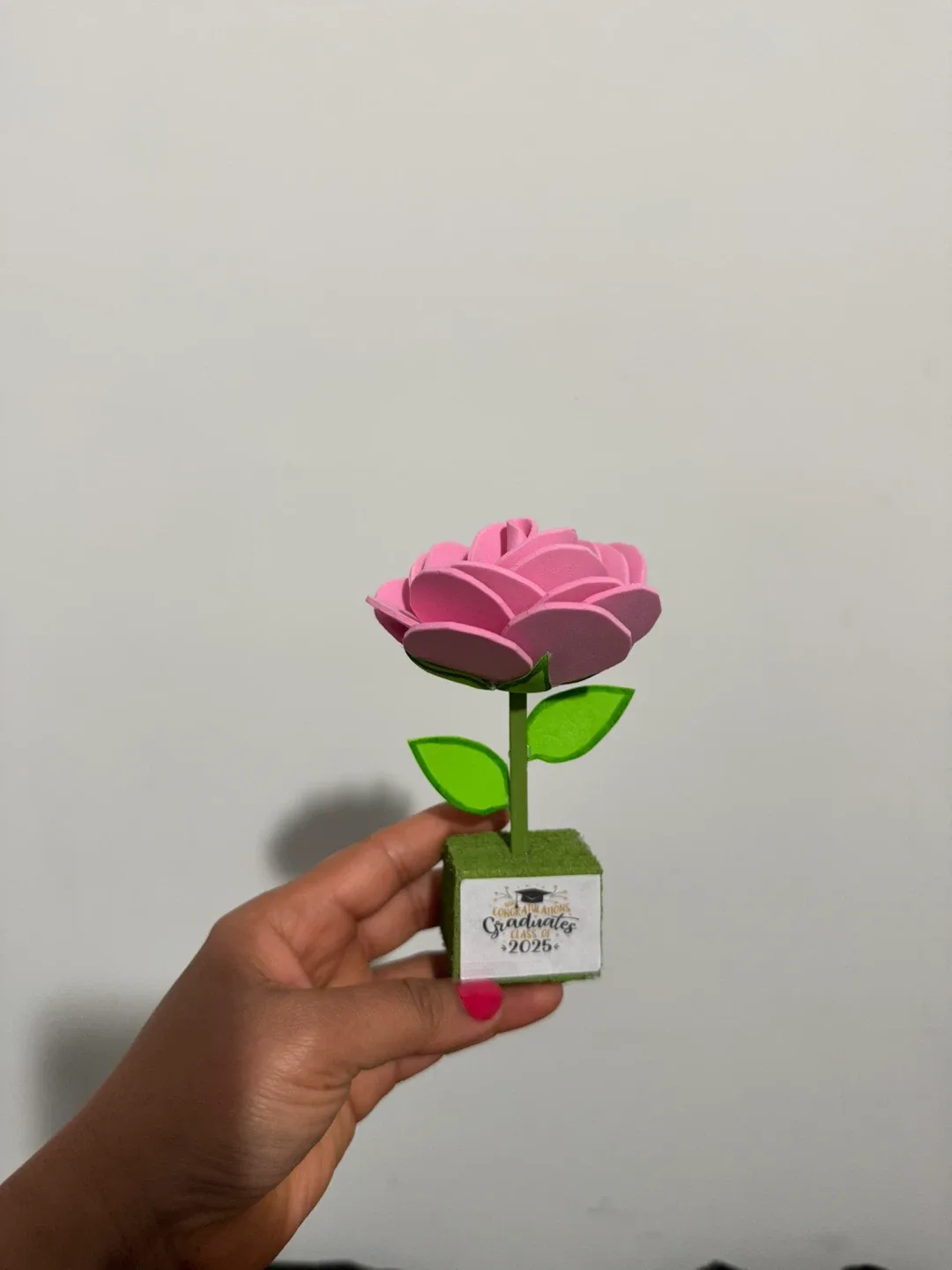 Graduates Class of 2025 Rose