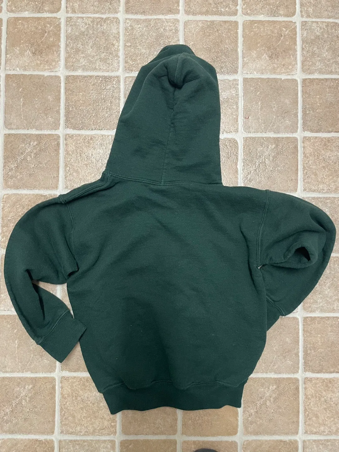 Blaze and the Monster Machines Hoodie image indicator(2)