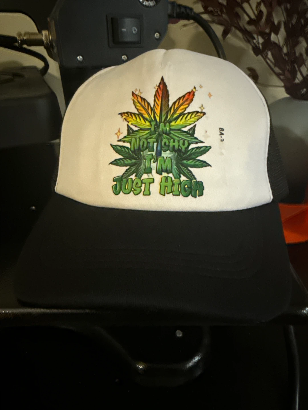 Novelty "I'm Not Shy I'm Just High" Hat