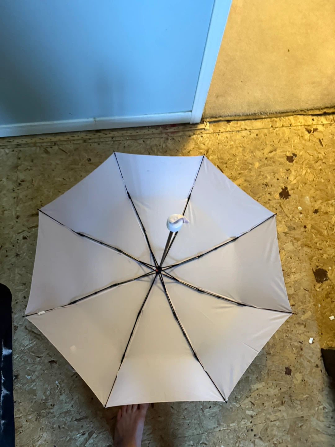 Light Pink Umbrella - photo 3