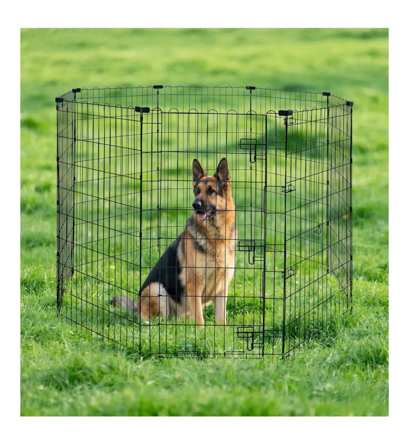 Amazon Basics Foldable Metal Dog Playpen - 48 inch image indicator(5)