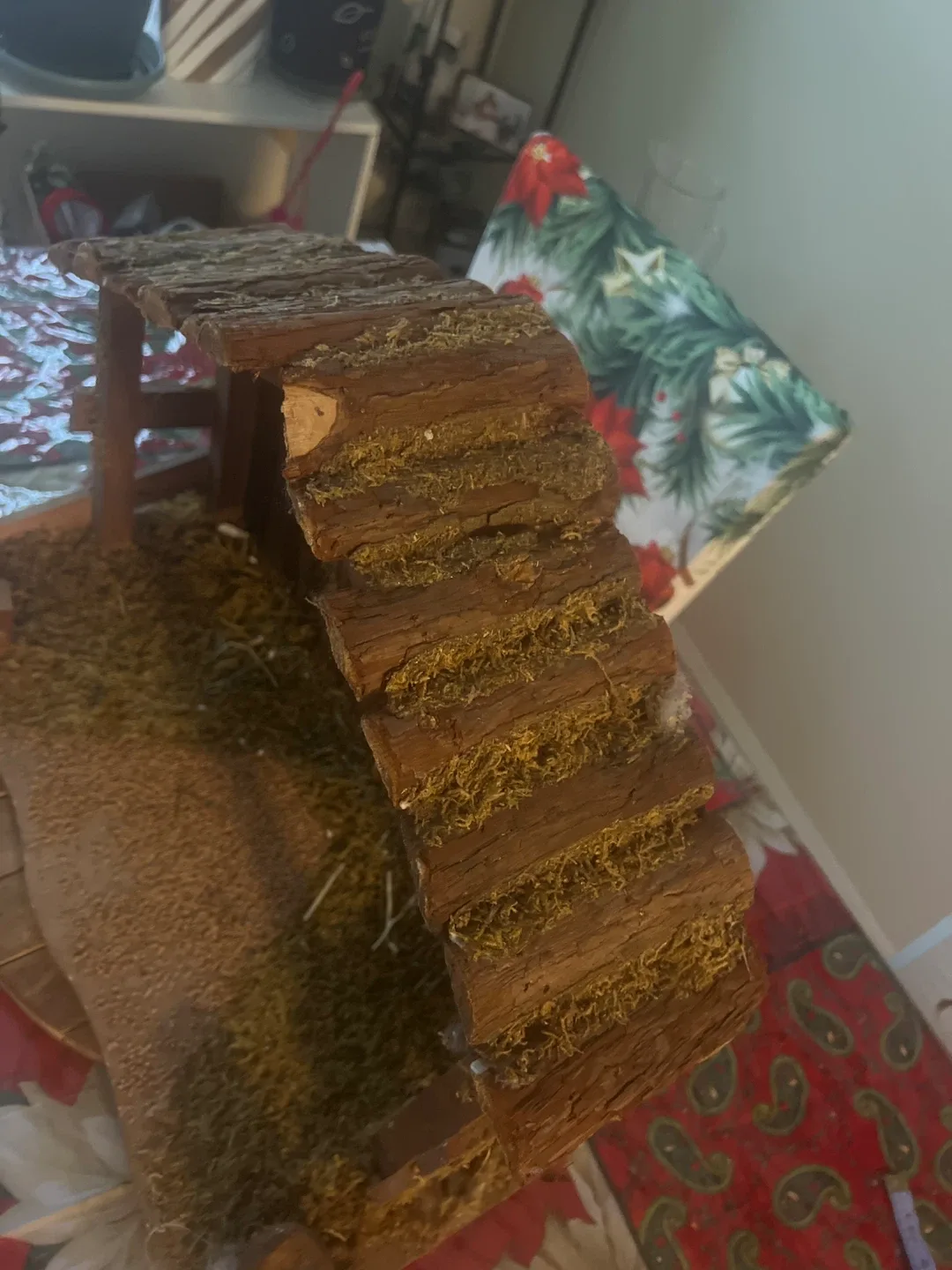 Nativity Scene Stable image indicator(7)