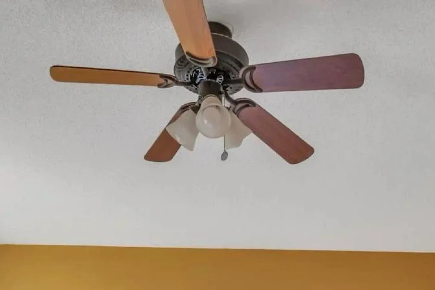 Ceiling Fan with Lights