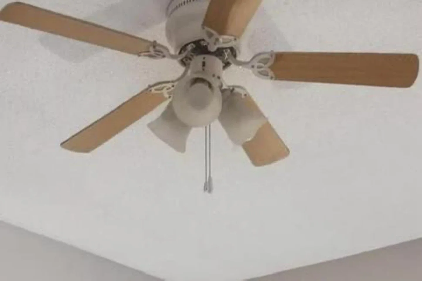 Ceiling Fan with Lights