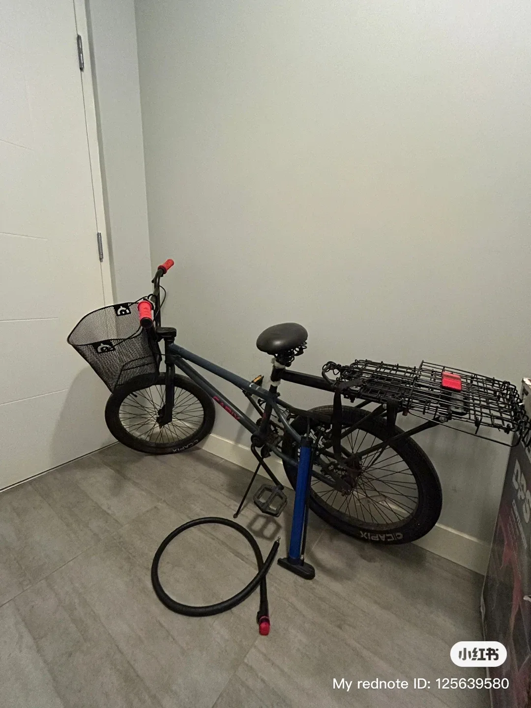 Capix Bike with Baskets & Pump