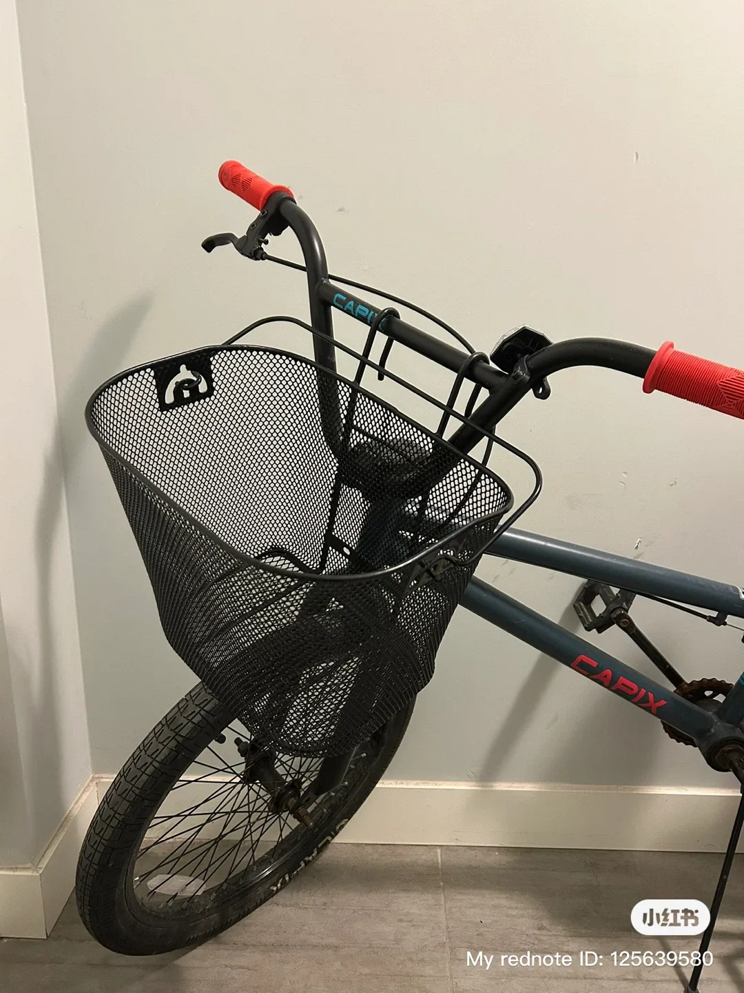 Capix Bike with Baskets & Pump image indicator(3)