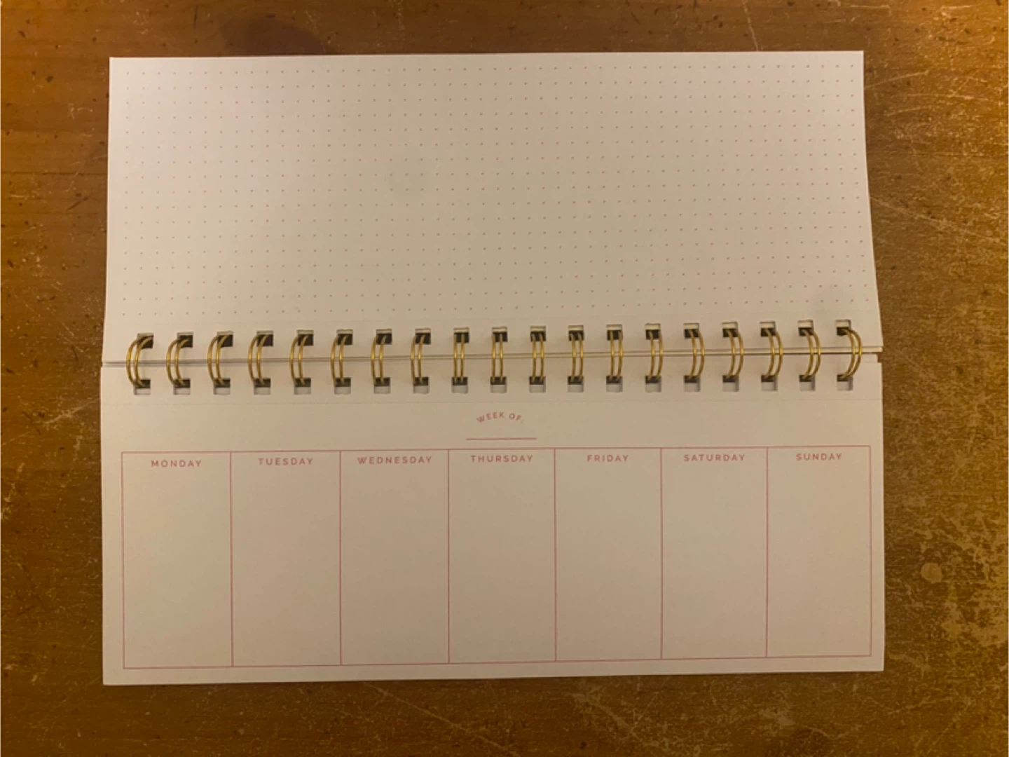 Weekly Planner - Plant Your Future - photo 2