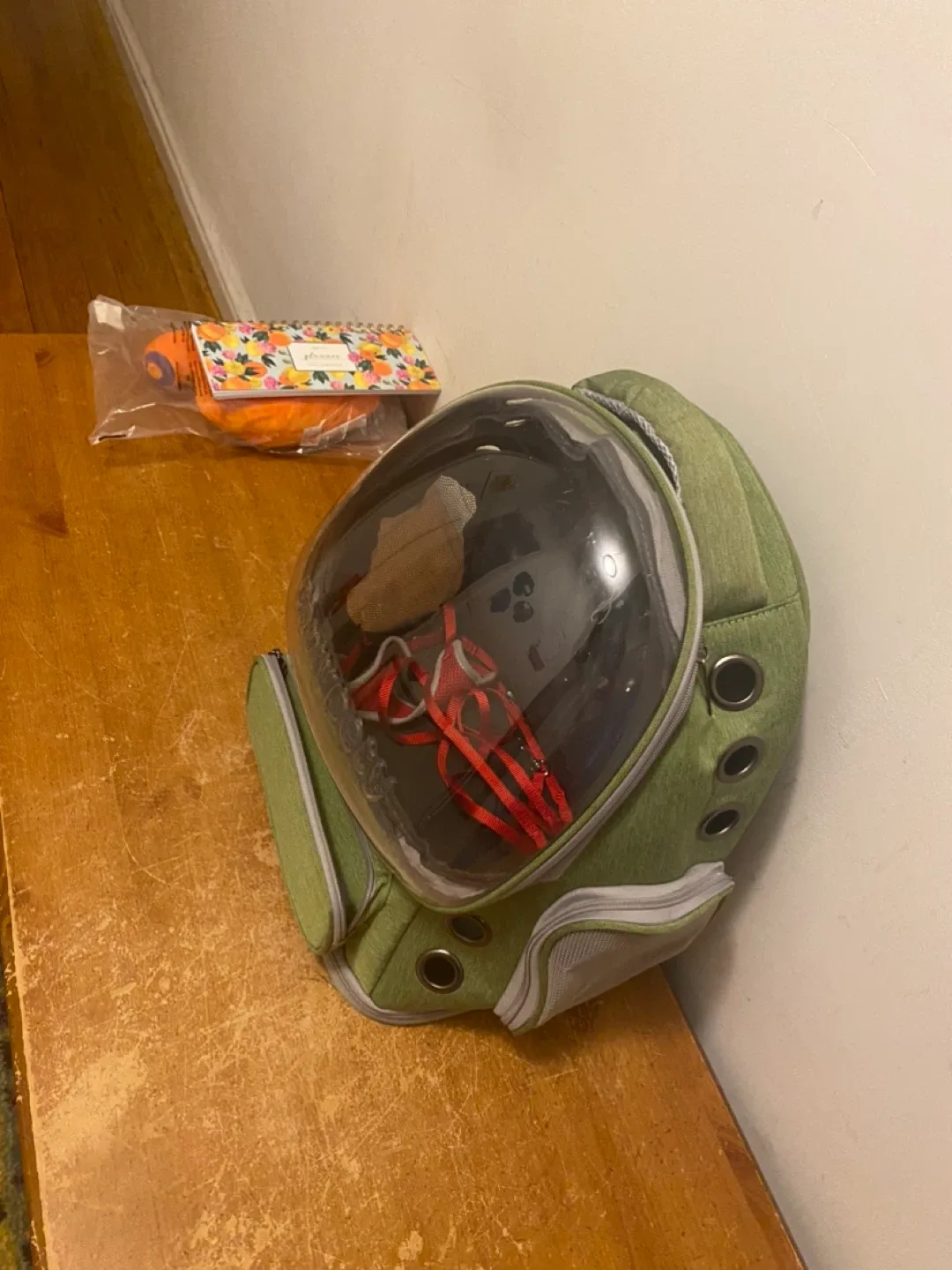 Comadore Pet Carrier Backpack - Green with kitten harness