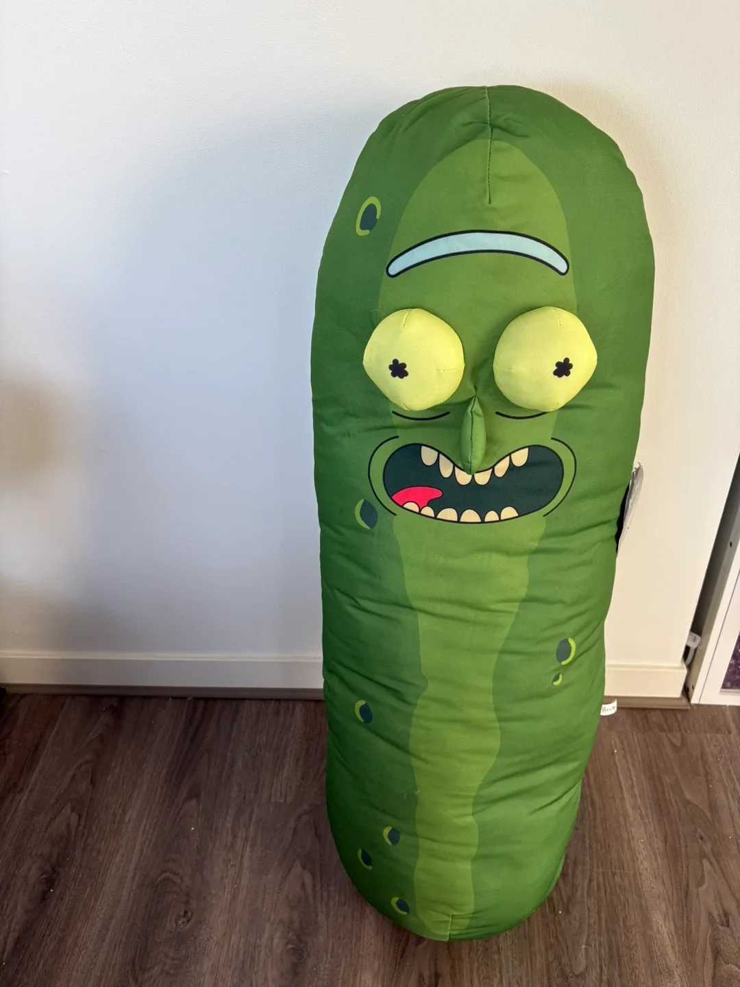 Rick and Morty Pickle Rick Body Pillow