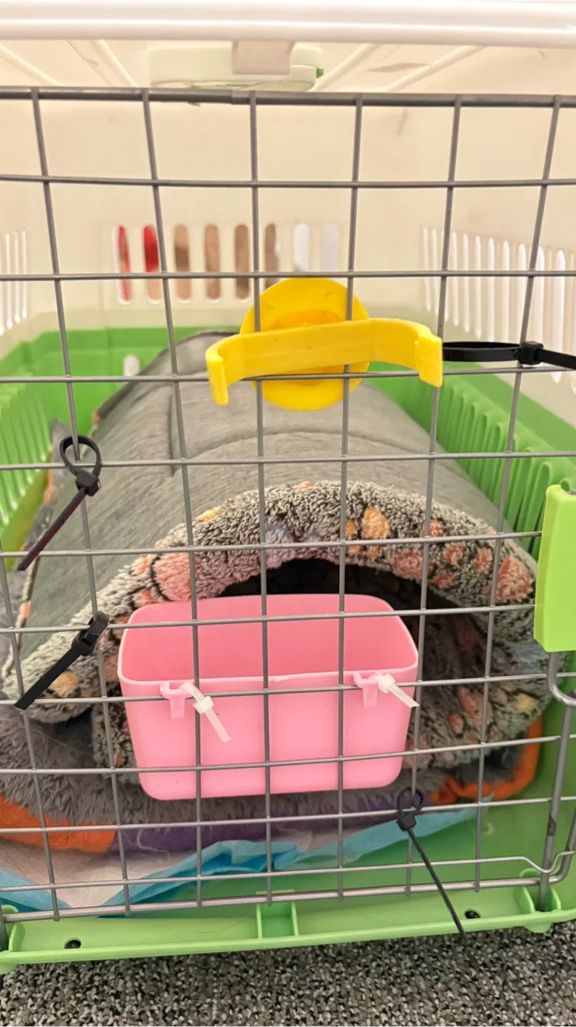 Pet Carrier - White and Green image indicator(5)