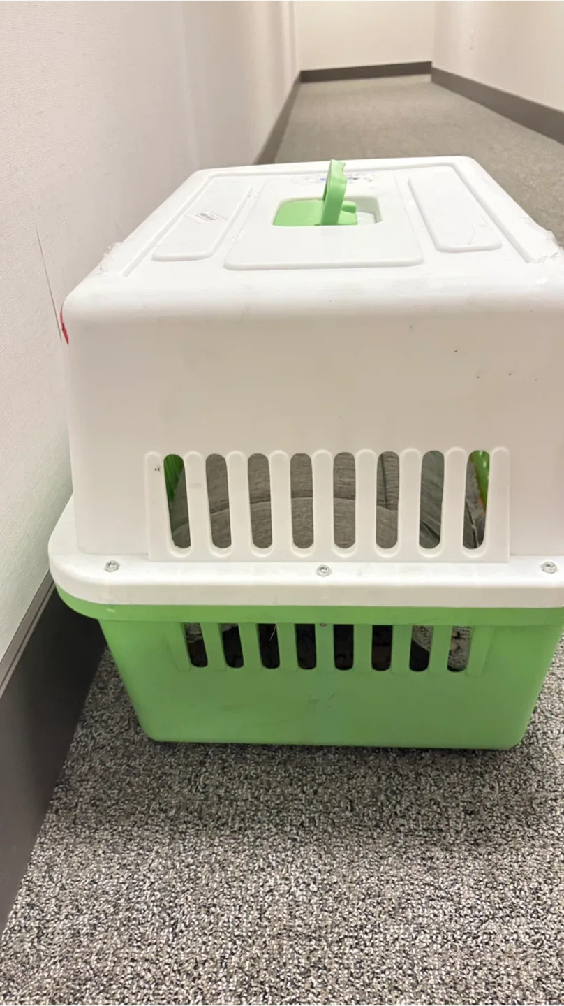 Pet Carrier - White and Green image indicator(4)