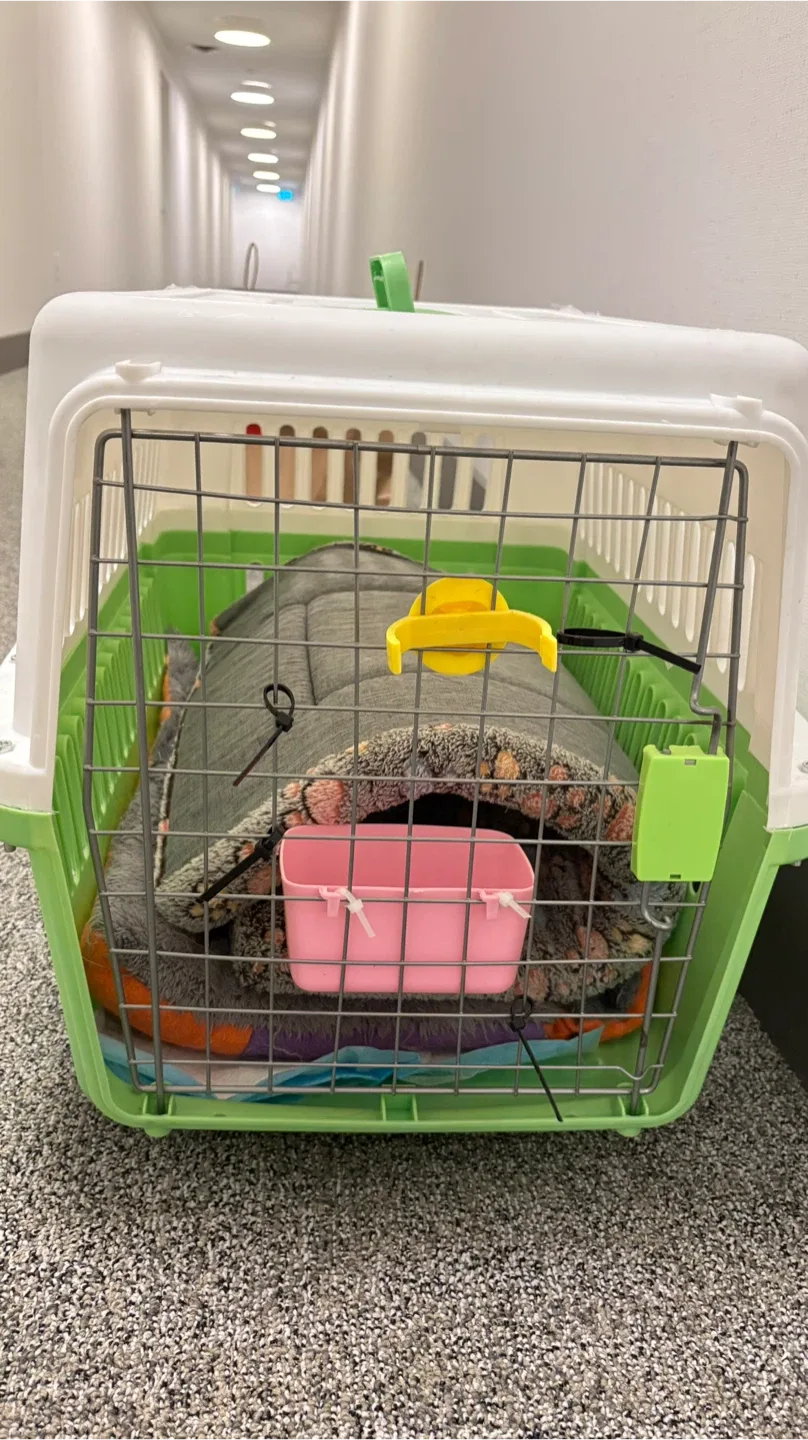 Pet Carrier - White and Green image indicator(6)