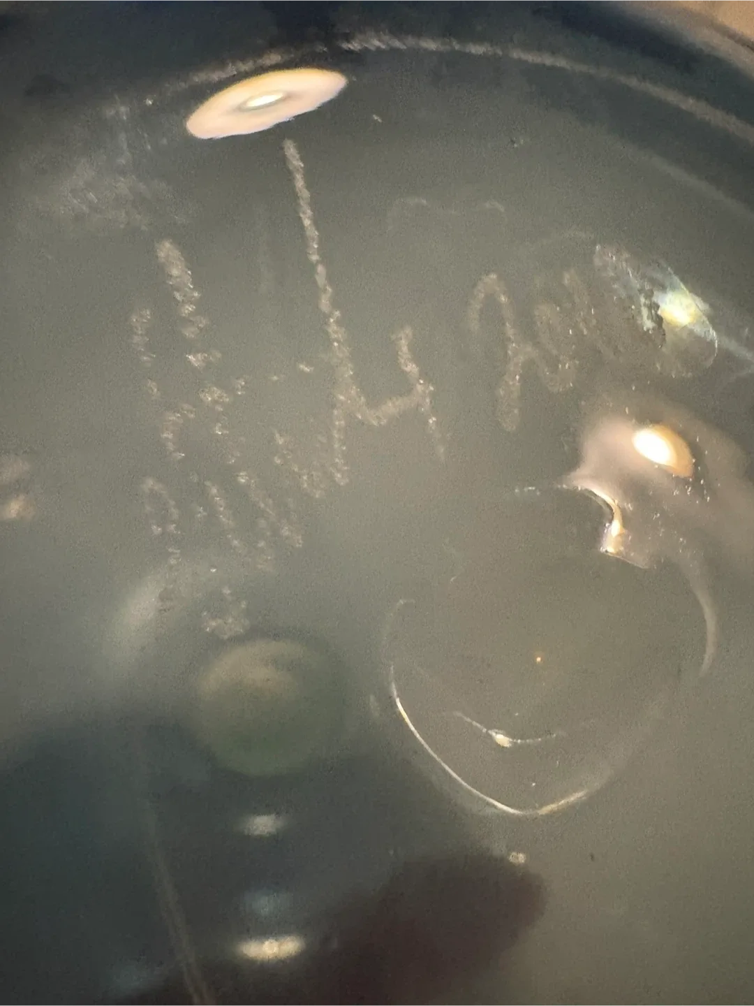 Handblown Glass Vessel Vase Lynn Read Vitreluxe Studio image indicator(7)