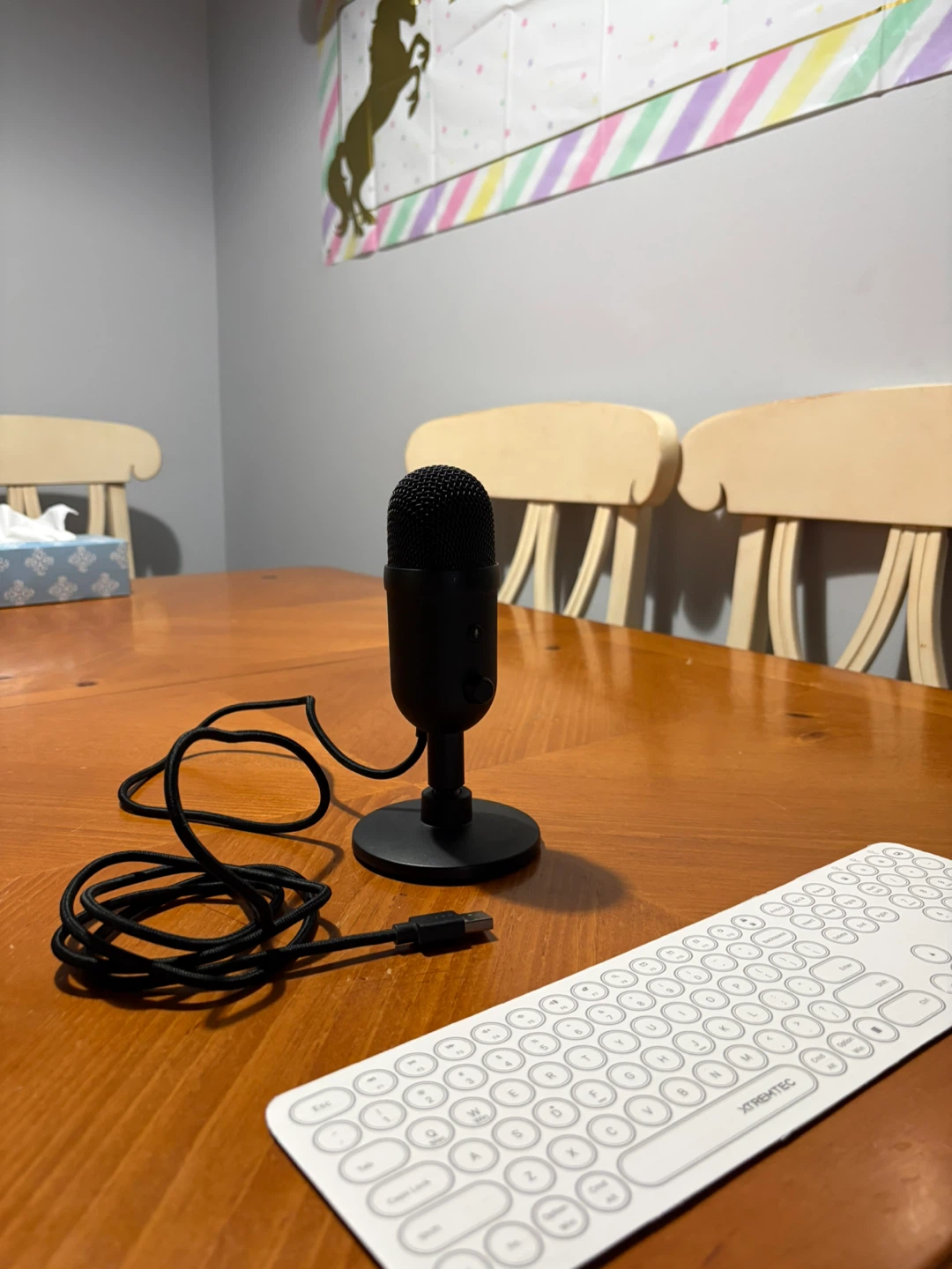 Razer Seiren Mini Microphone - Black - photo 4