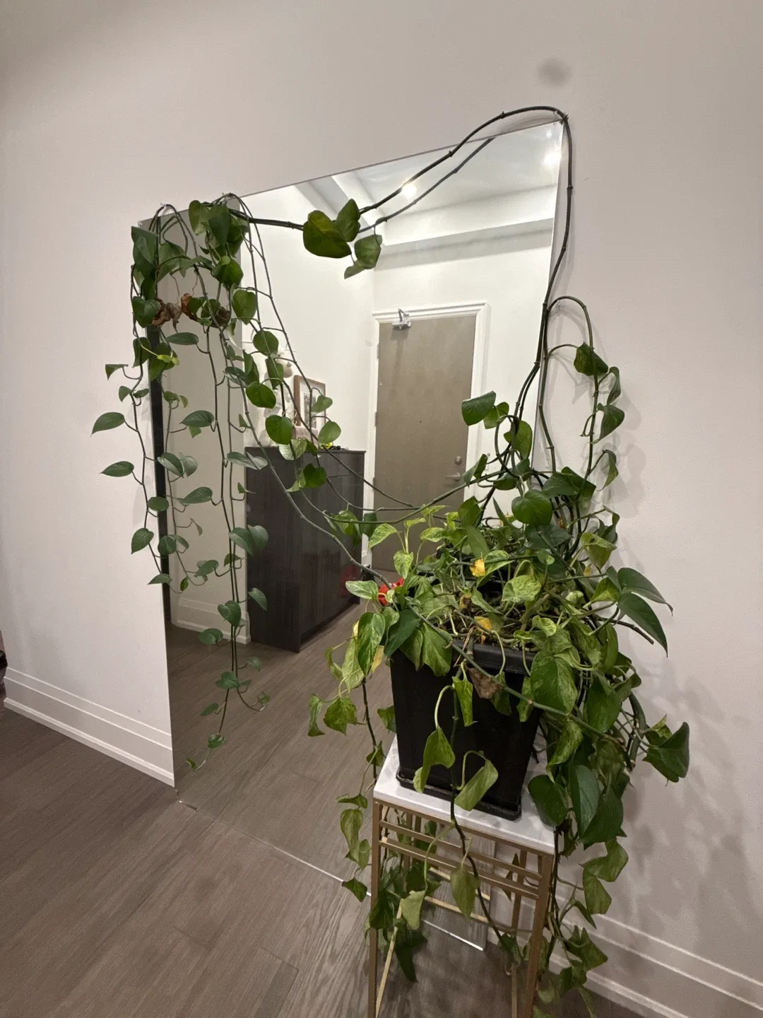 Large mirror with no frame image indicator(4)