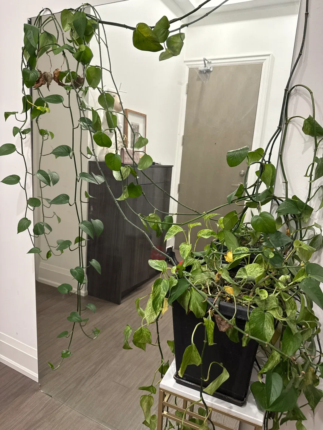 Large mirror with no frame