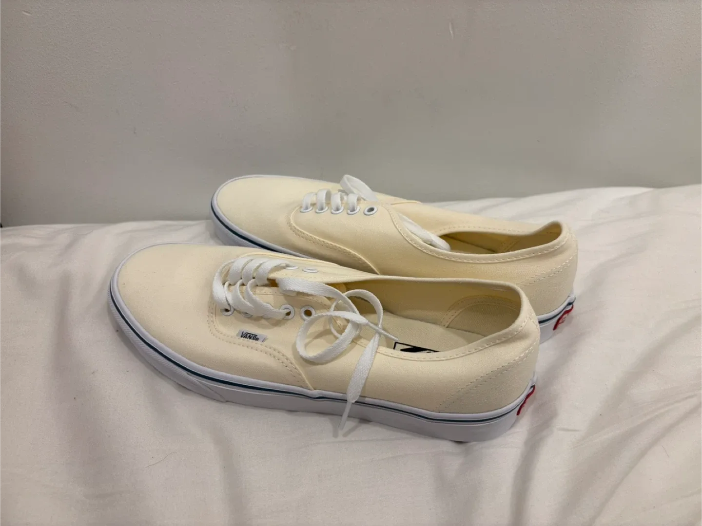 [New in box] Vans Authentic canvas shoes (men’s size 10)