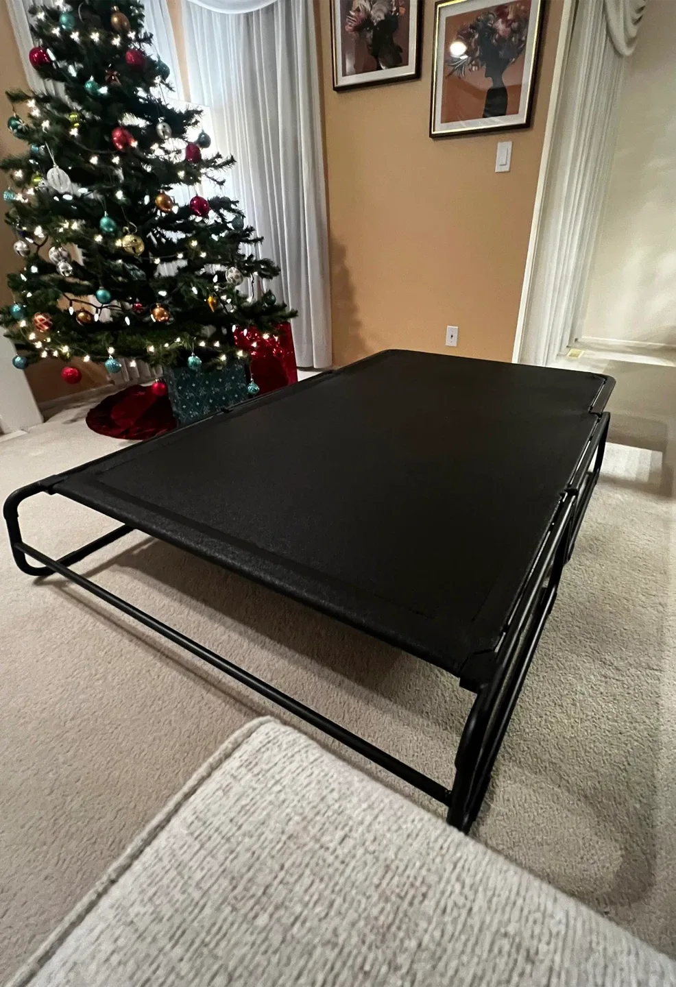 Folding Sofa Bed image indicator(4)